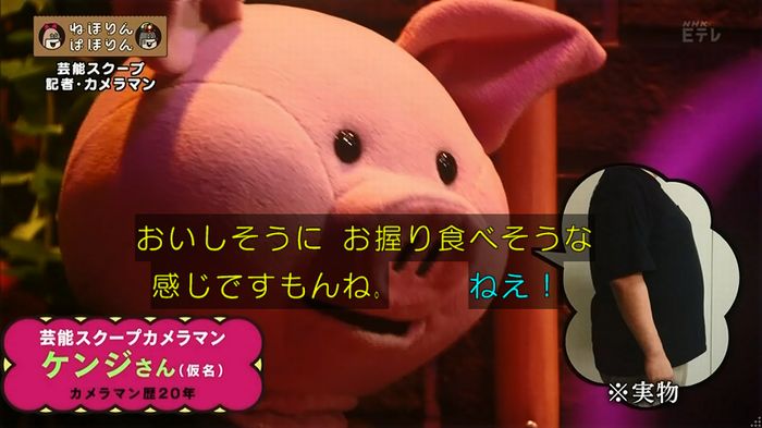 ねほりん 芸能スクープ回のキャプ14