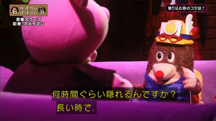 ねほりん 芸能スクープ回のキャプ136