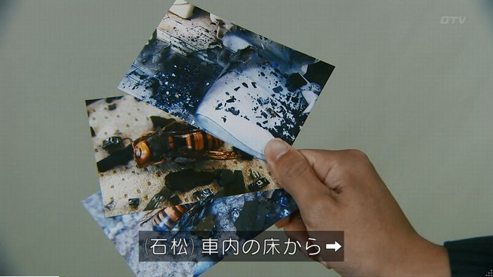 警視庁いきもの係 9話のキャプ618