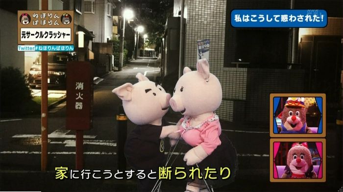 ねほりんぱほりん サークルクラッシャーのキャプ241