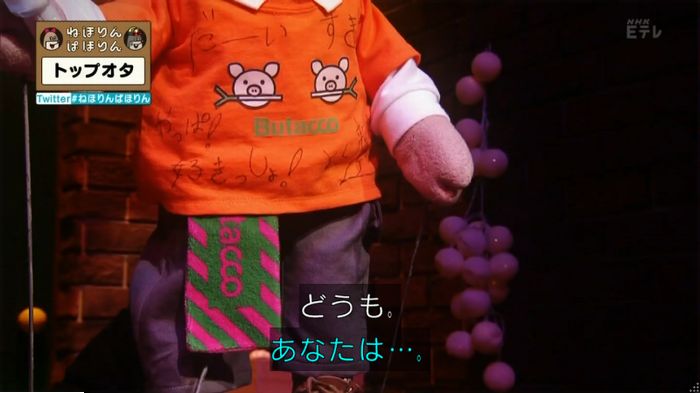 ねほりんぱほりんのキャプ40