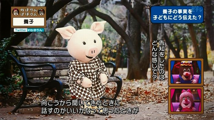 ねほりん 養子回のキャプ125