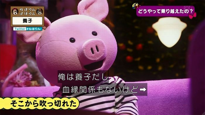 ねほりん 養子回のキャプ268