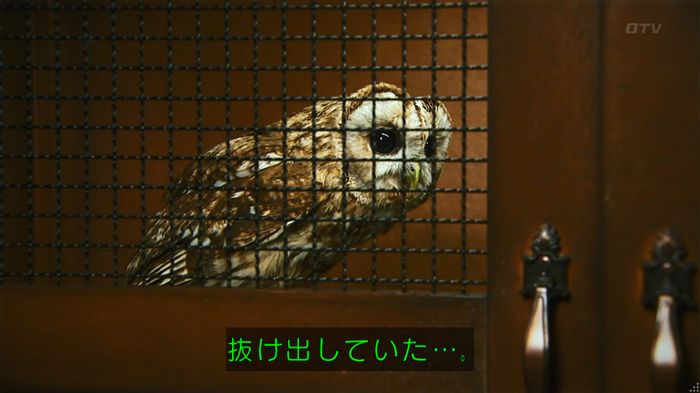 警視庁いきもの係 8話のキャプ548