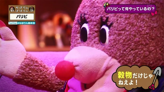 ねほりん 最終回のキャプ254