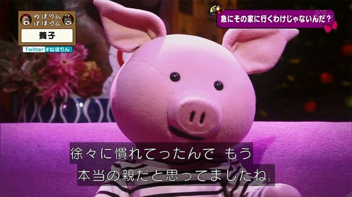 ねほりん 養子回のキャプ62