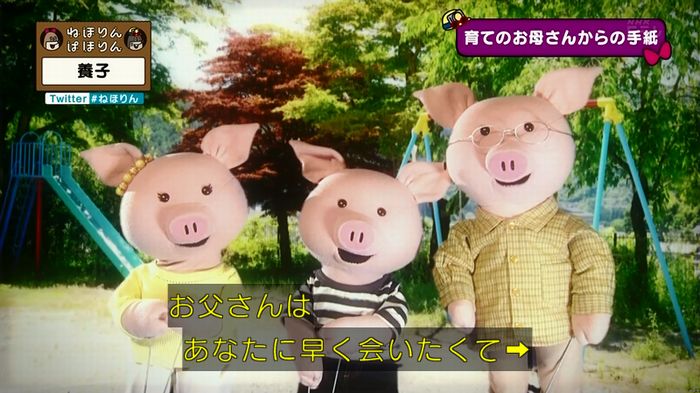 ねほりん 養子回のキャプ414