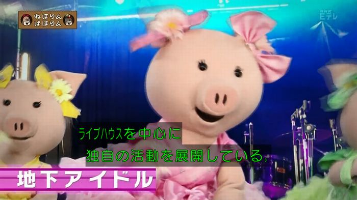ねほりん 地下アイドル回のキャプ5