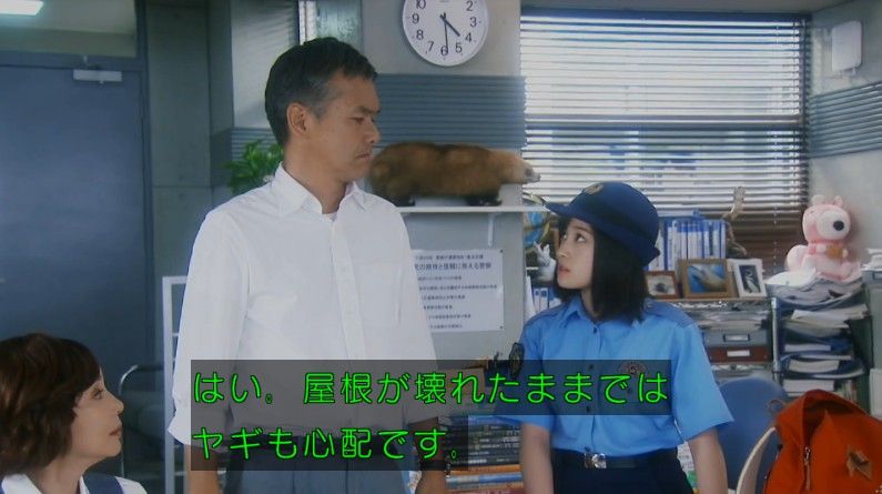 いきもの係 4話のキャプ550