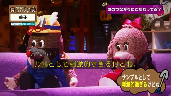 ねほりん 養子回のキャプ351