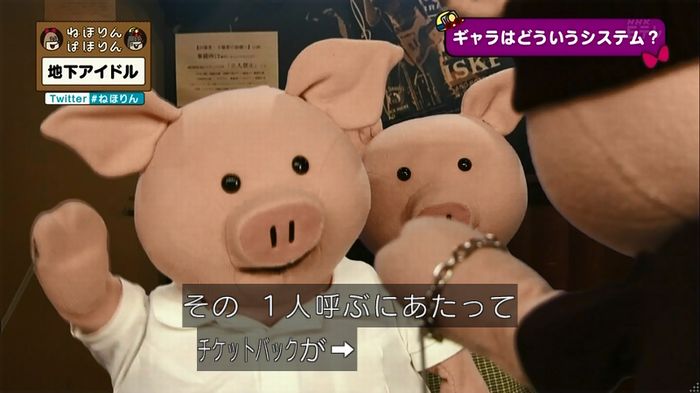 ねほりん 地下アイドル回のキャプ173