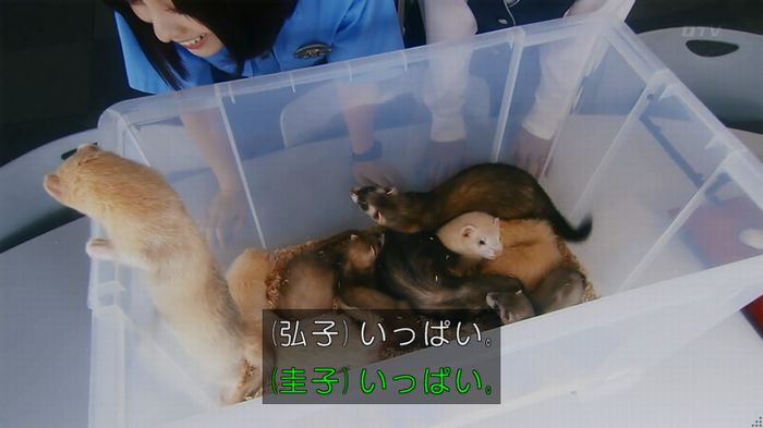 警視庁いきもの係 8話のキャプ38