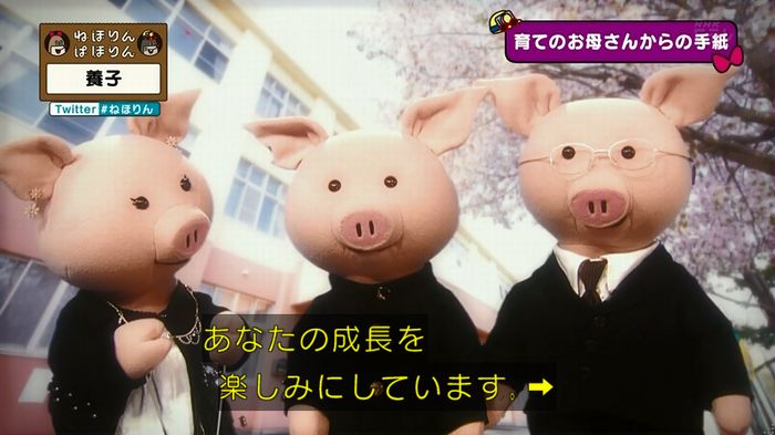 ねほりん 養子回のキャプ421