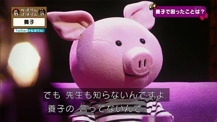 ねほりん 養子回のキャプ175