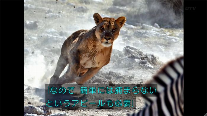 人は見た目が100パーセントのキャプ455
