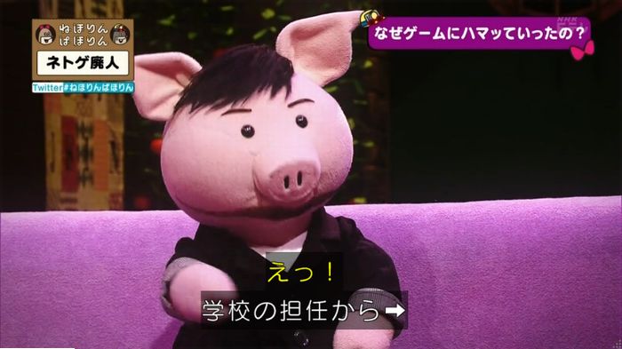 ねほりんネトゲ廃人のキャプ284