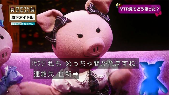 ねほりん 地下アイドル後編のキャプ76