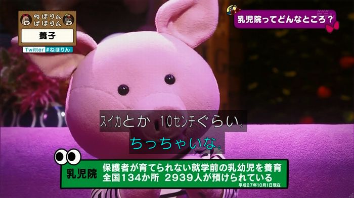 ねほりん 養子回のキャプ46