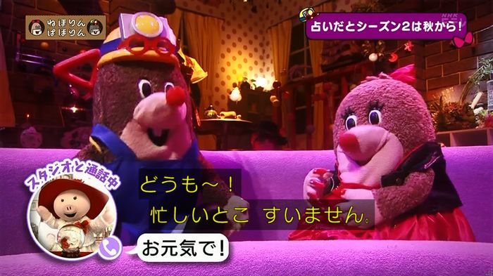 ねほりん 最終回のキャプ78