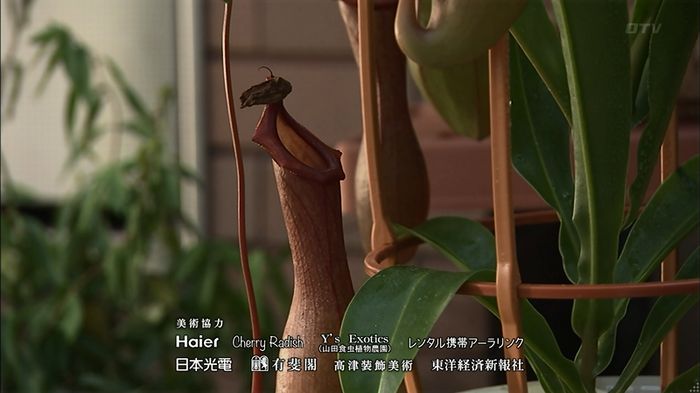 ウツボカズラの夢3話のキャプ451