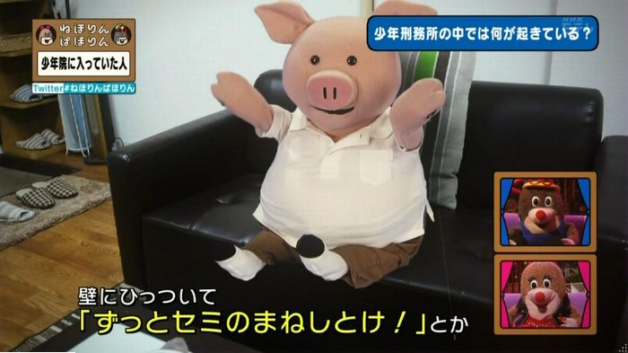 ねほりんぱほりんのキャプ173