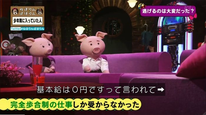 ねほりんぱほりんのキャプ316