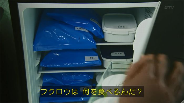 警視庁いきもの係 8話のキャプ222