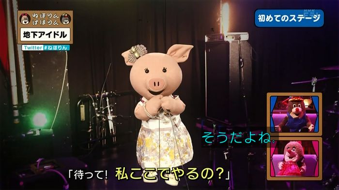ねほりん 地下アイドル回のキャプ283