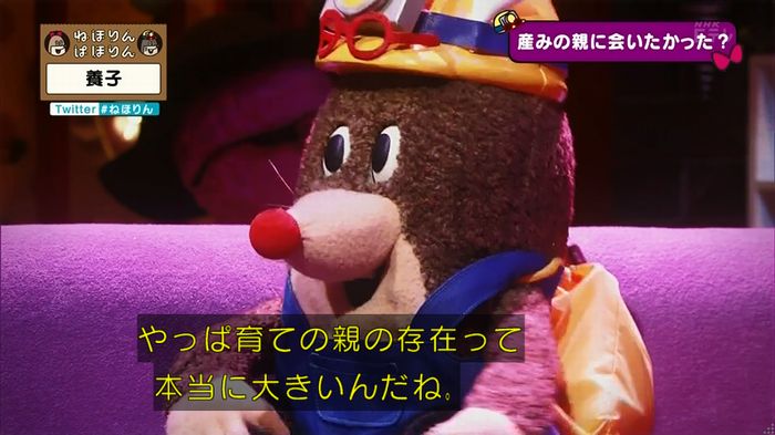 ねほりん 養子回のキャプ307