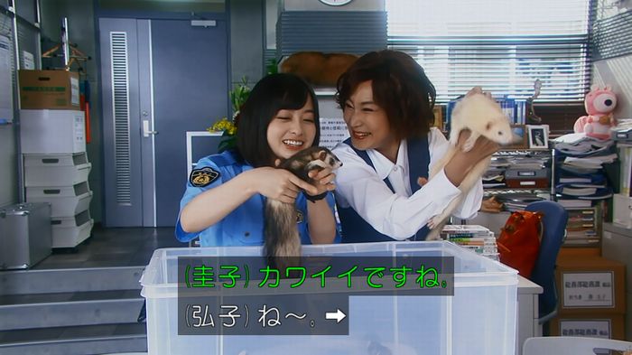 警視庁いきもの係 8話のキャプ41