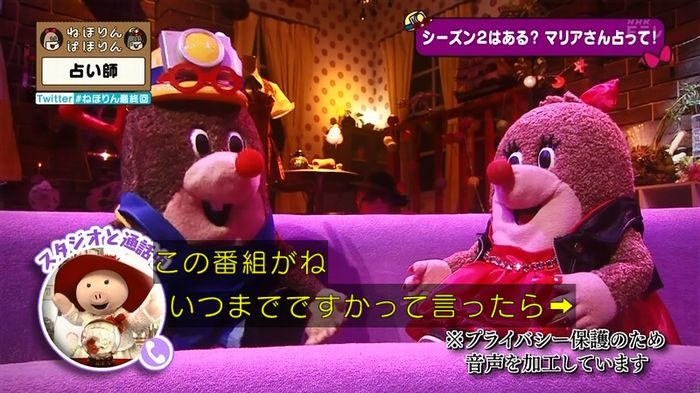ねほりん 最終回のキャプ65