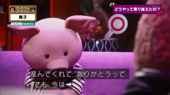 ねほりん 養子回のキャプ262