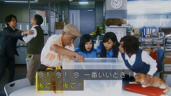 警視庁いきもの係 8話のキャプ57