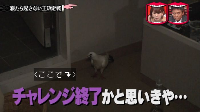 水曜日のダウンタウンのキャプ131