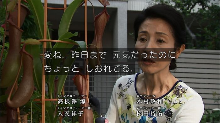 ウツボカズラの夢3話のキャプ450