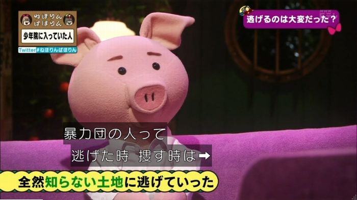ねほりんぱほりんのキャプ288