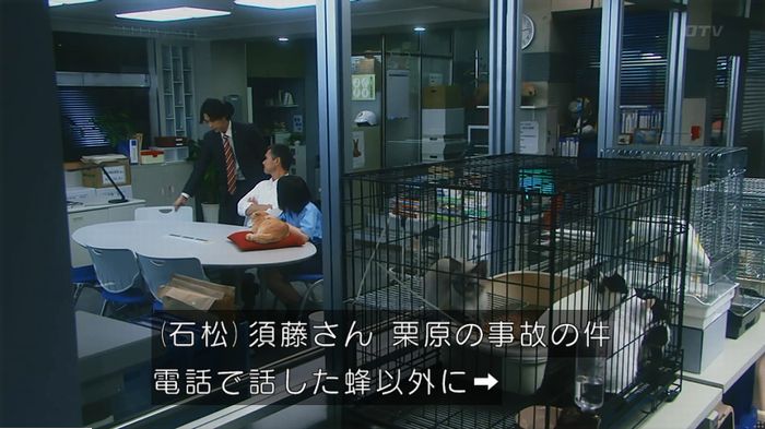警視庁いきもの係 9話のキャプ637