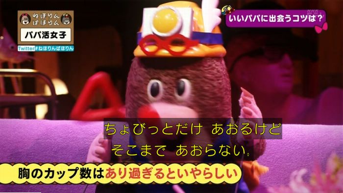 ねほりんぱほりんのキャプ104
