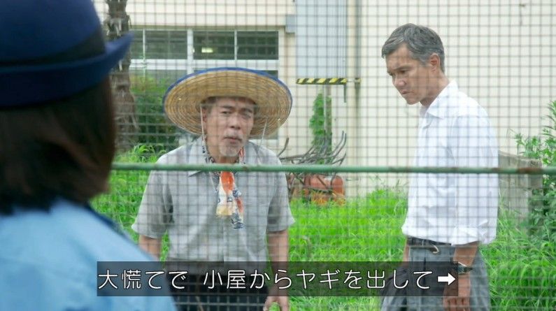 いきもの係 4話のキャプ382