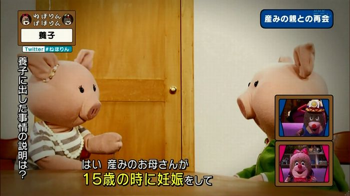 ねほりん 養子回のキャプ321