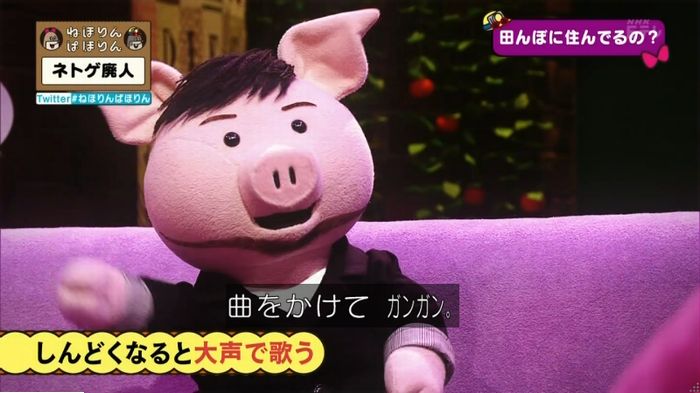 ねほりんネトゲ廃人のキャプ130