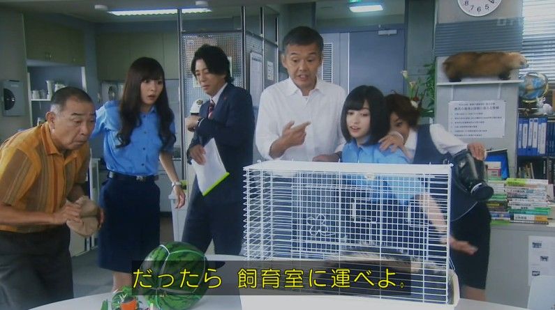 いきもの係 4話のキャプ119