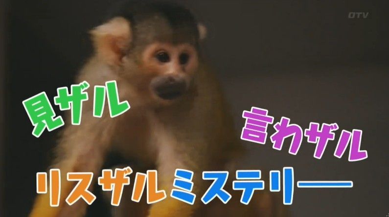 いきもの係 4話のキャプ876