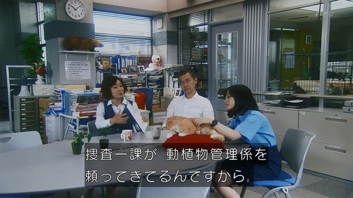 いきもの係 3話のキャプ88