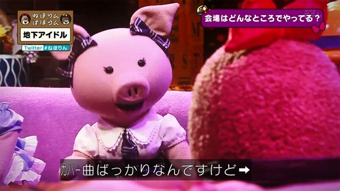 ねほりん 地下アイドル回のキャプ81