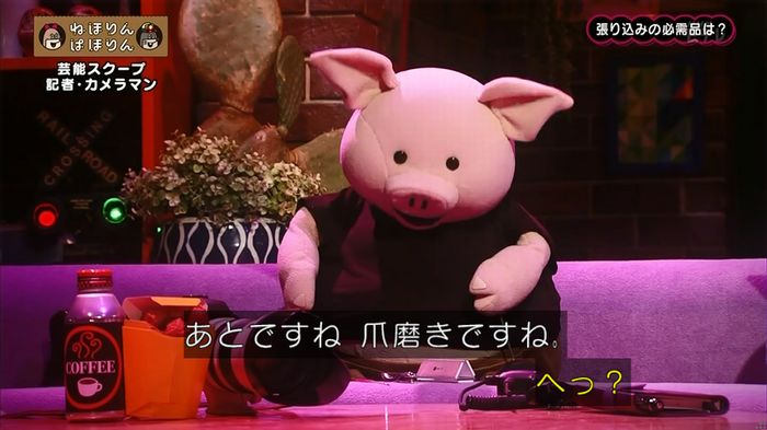ねほりん 芸能スクープ回のキャプ202