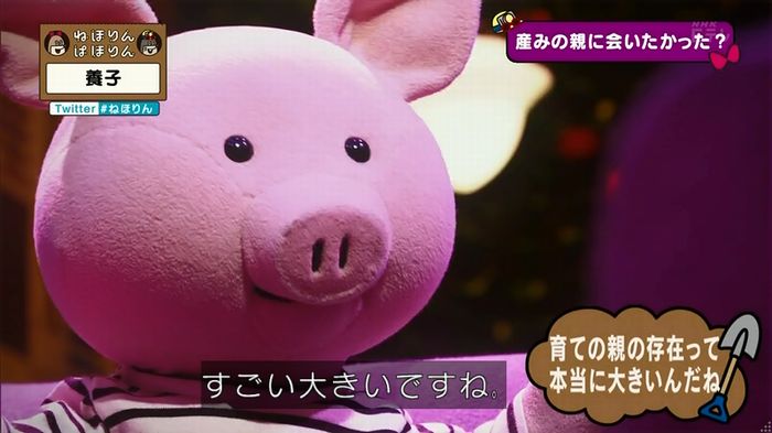 ねほりん 養子回のキャプ308