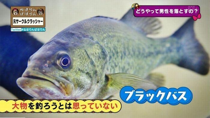 ねほりんぱほりん サークルクラッシャーのキャプ161
