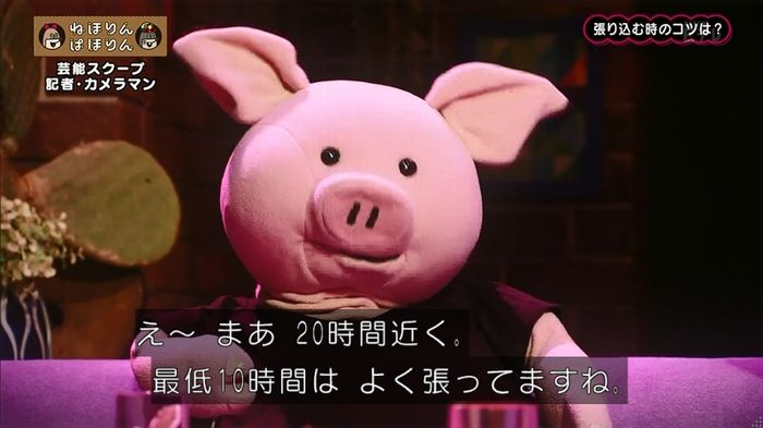 ねほりん 芸能スクープ回のキャプ137