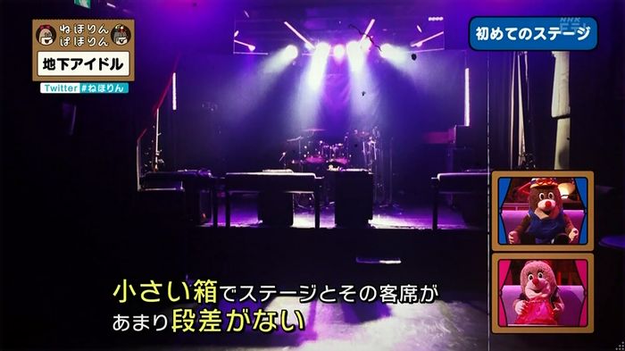 ねほりん 地下アイドル回のキャプ282
